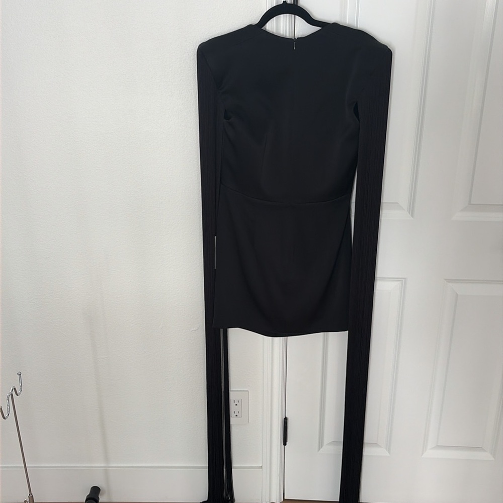 Alex Perry black fringe dress. NEW WITH TAGS! NEVER WORN! RARE PIECE!!! - Picture 3 of 17